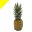 My First Set: Pineapples Cursors cursor preview 1