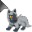 Poochyena Collection! Cursors cursor preview 1