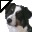 Puppy Pals Cursors