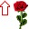 Random Roses & Other Flowers Cursors cursor preview 1
