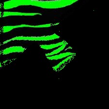 Animal Print Cursors